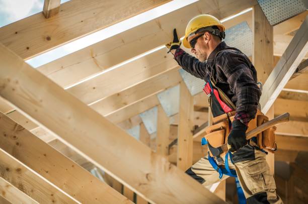 Best Roof Gutter Cleaning  in Ringgold, GA